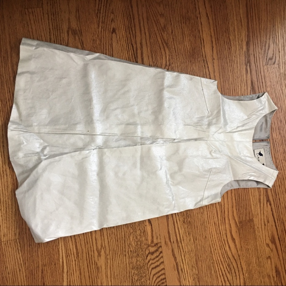 Silver shiny dress